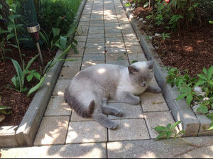 Meet your Posher, Sofia